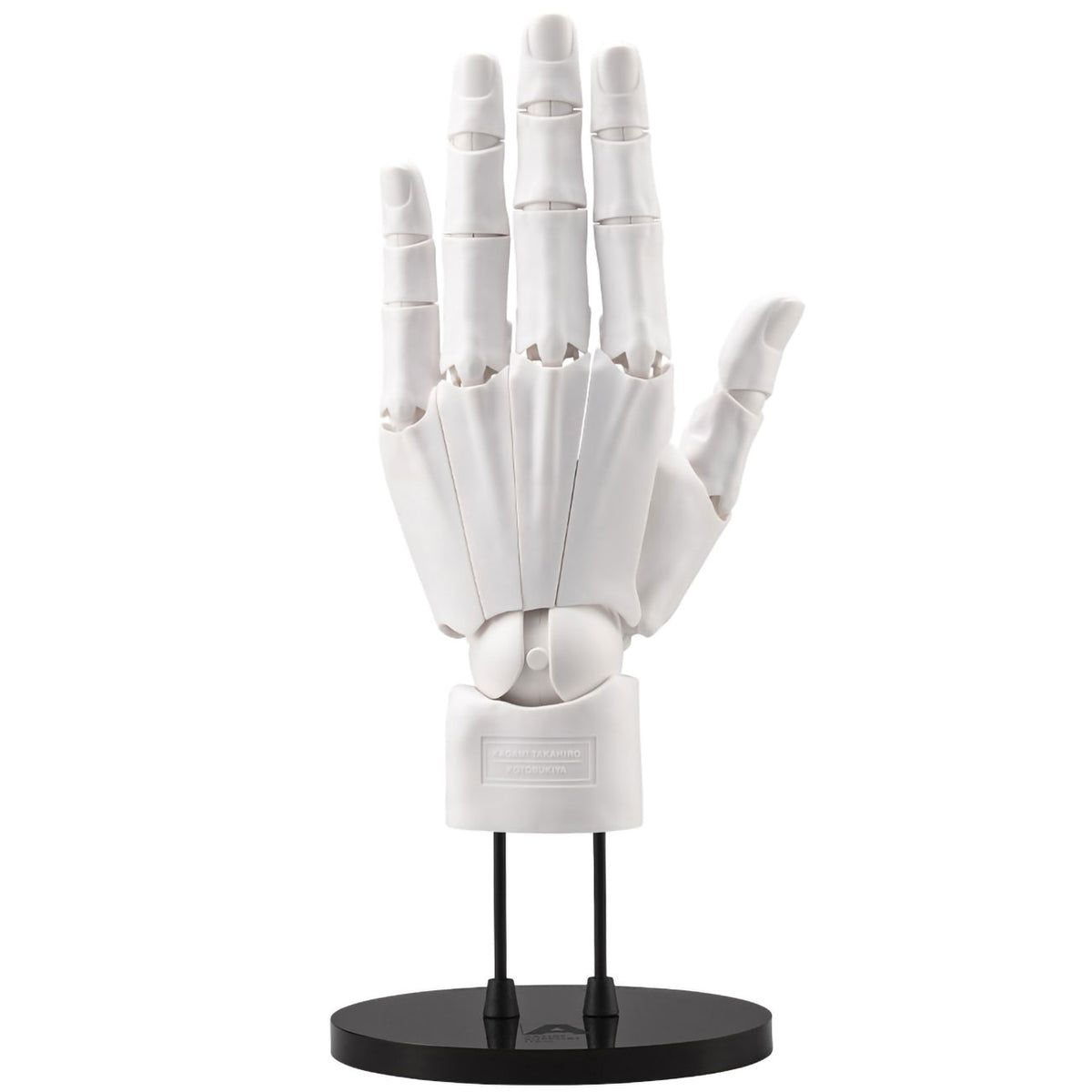 White model of a hand on a black stand against a white background