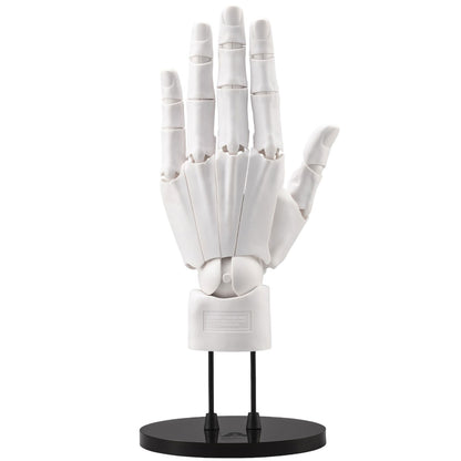 White model of a hand on a black stand against a white background