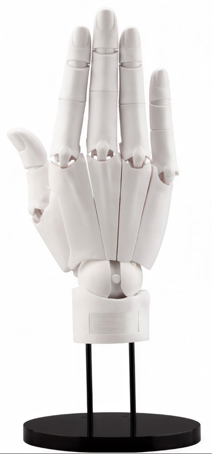 White mannequin hand on a black stand against a white background